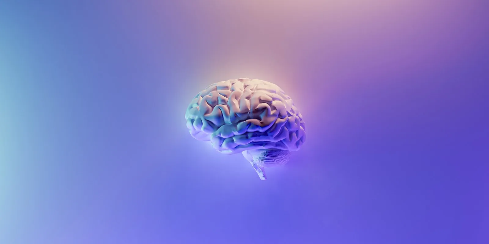 Neuromarketing pe înțelesul tuturor